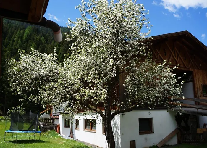 Apartament Bergfeuerhof
