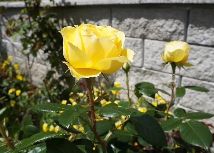 Appartamento Bergfeuerhof Kaunertal